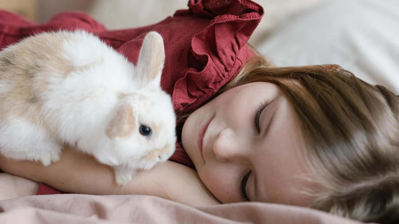 meisje met konijn - rememberme pets - huisdier